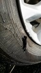20170211_091727.jpg